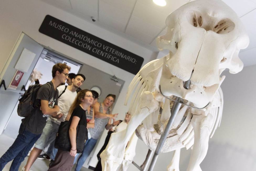 El Museo Veterinario de la Universidad de Murcian exhibe un total de 33 esqueletos completos de animales